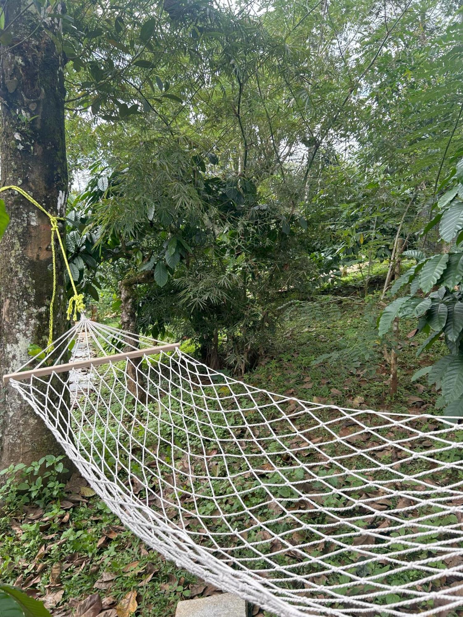 Sylvan Resort Wayanad Εξωτερικό φωτογραφία