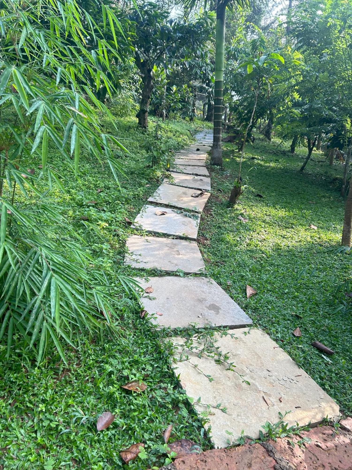 Sylvan Resort Wayanad Εξωτερικό φωτογραφία