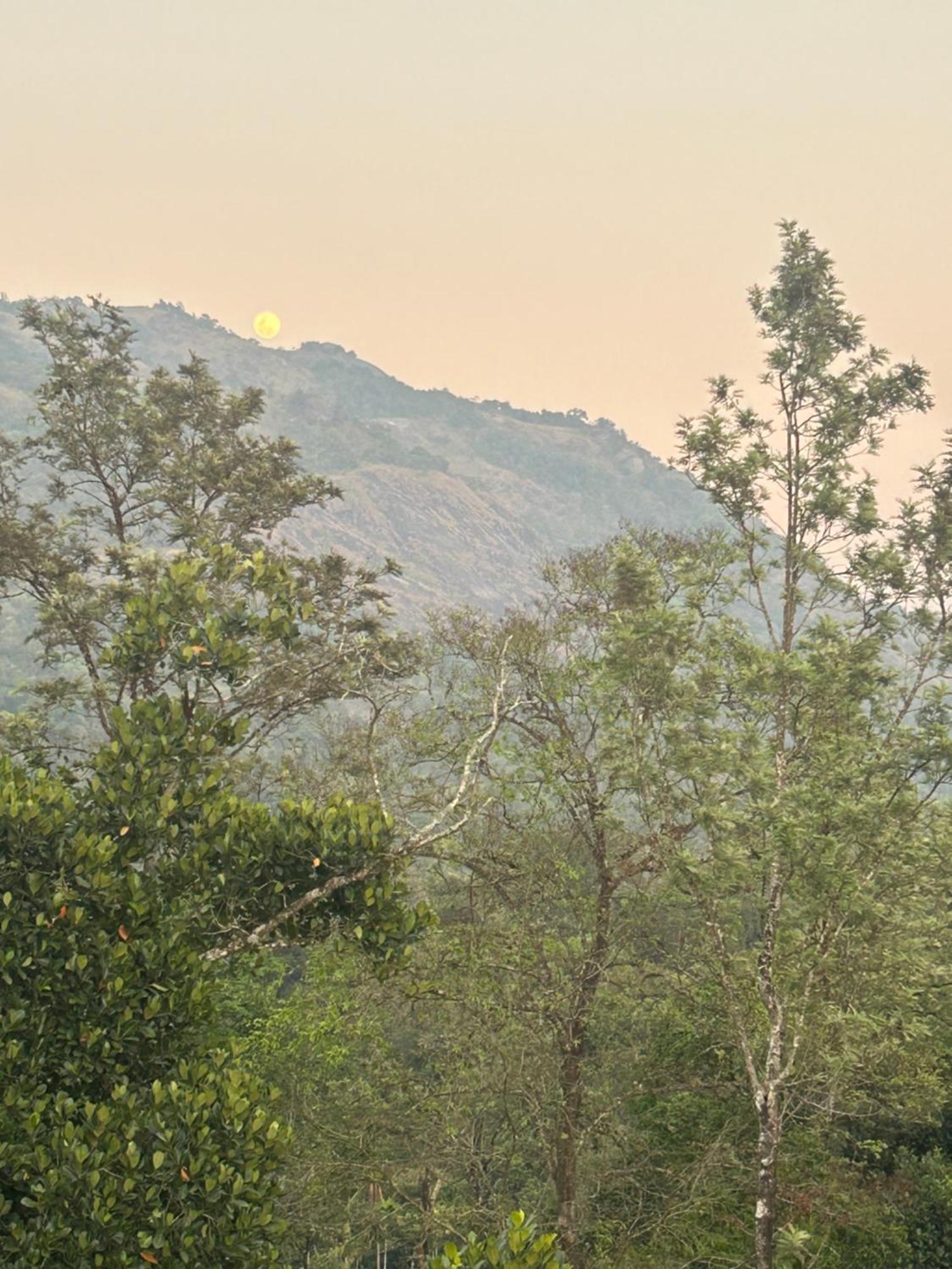 Sylvan Resort Wayanad Εξωτερικό φωτογραφία