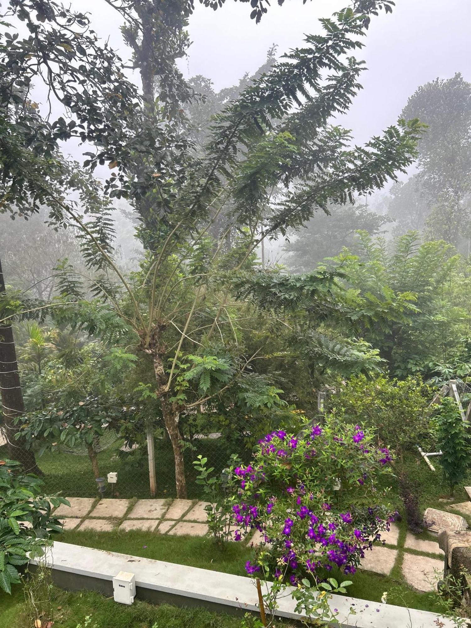 Sylvan Resort Wayanad Εξωτερικό φωτογραφία