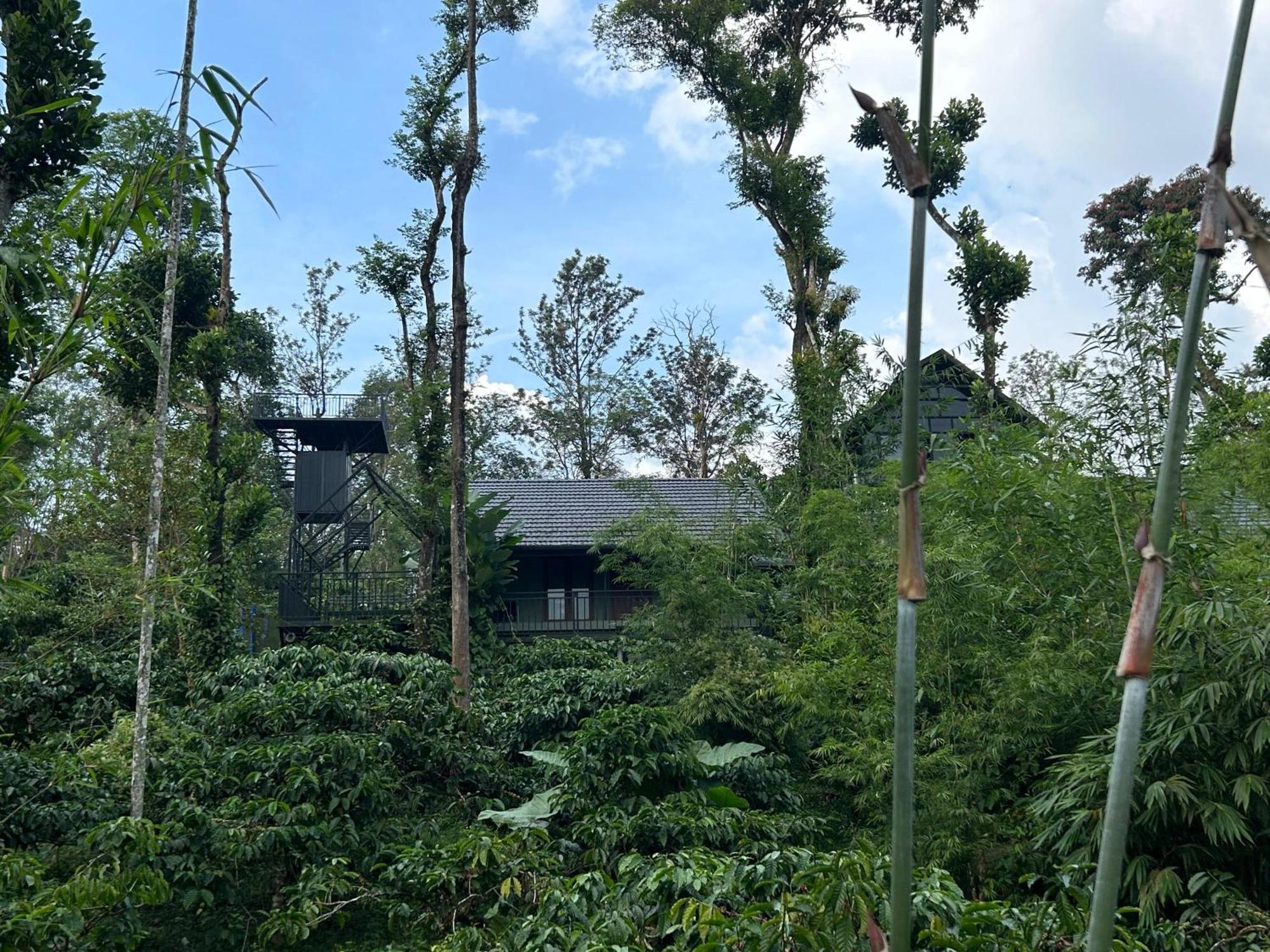 Sylvan Resort Wayanad Εξωτερικό φωτογραφία