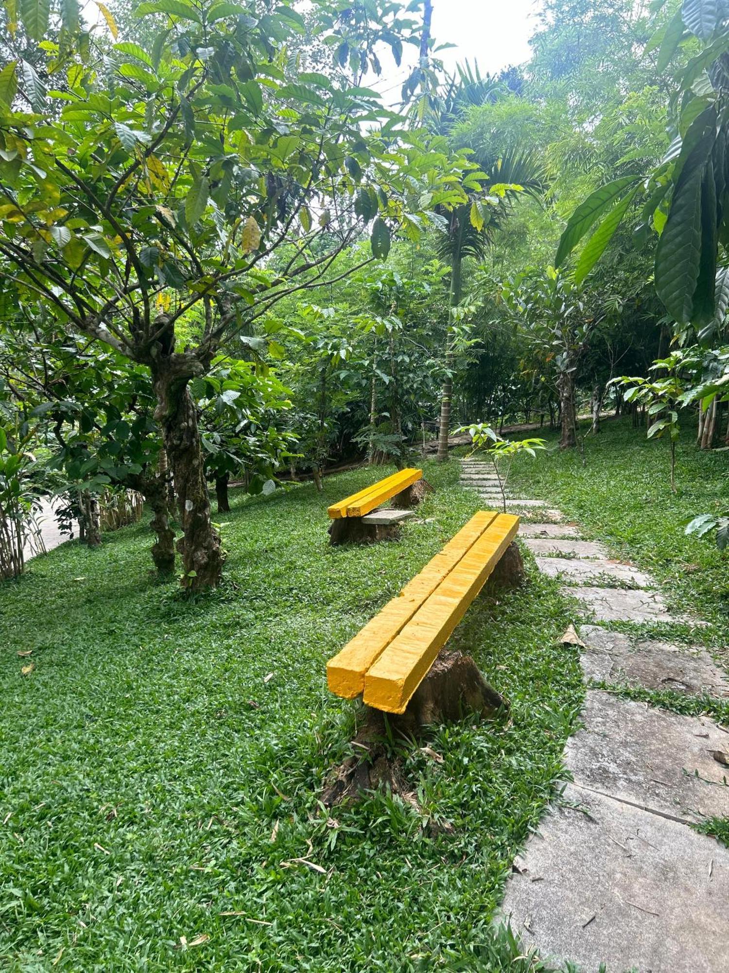 Sylvan Resort Wayanad Εξωτερικό φωτογραφία