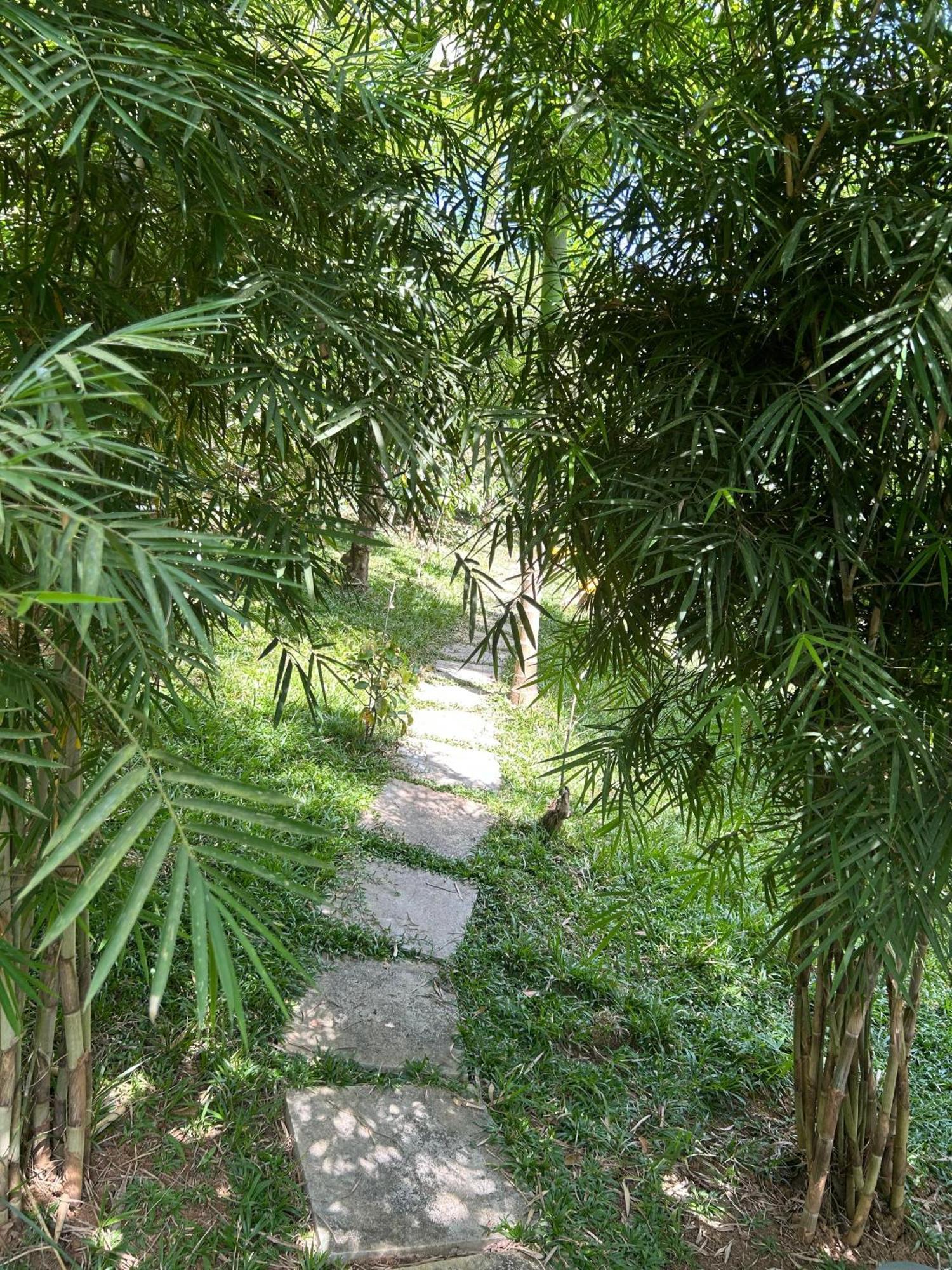 Sylvan Resort Wayanad Εξωτερικό φωτογραφία
